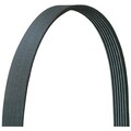 Dayco V-Ribbed Belt Drive Rite Belt, 5060510Dr 5060510DR